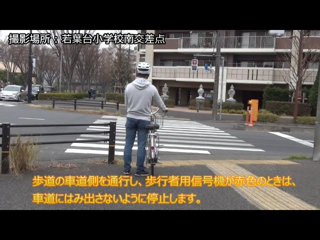 赤信号と直進矢印灯器の自転車専用信号道路標識マニア