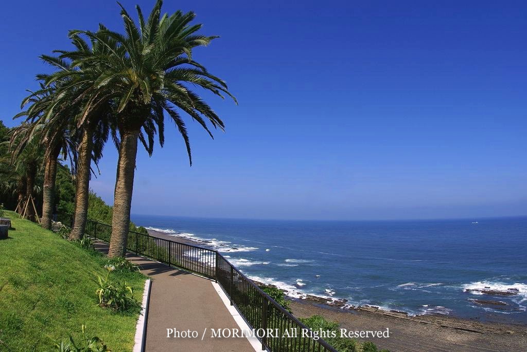 宮崎「道の駅」おすすめ9選！地元グルメも。ドライブ休憩に - じゃらんレンタカードライブガイド