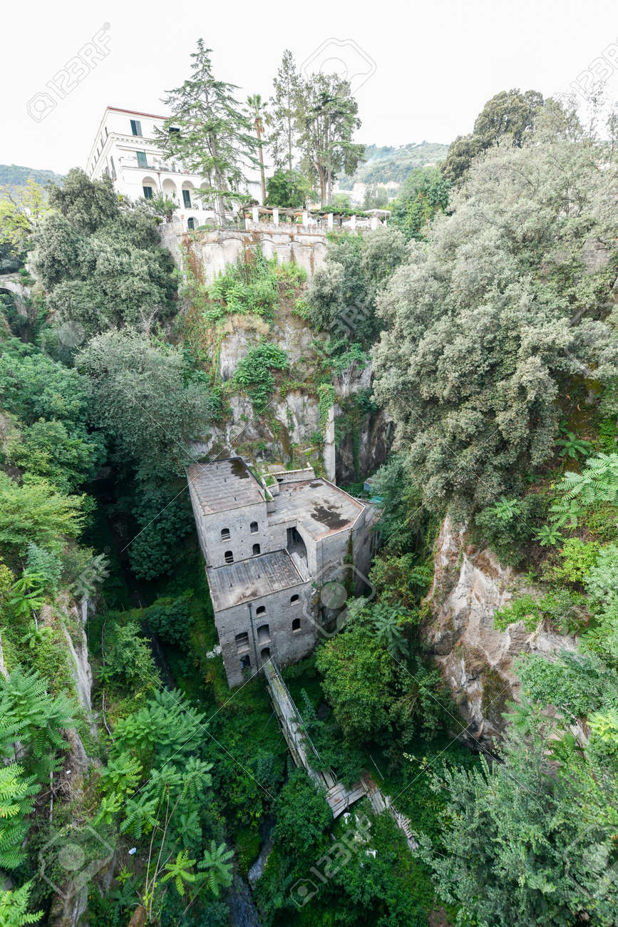 2025年 イタリアの工場見学: イタリアの 5