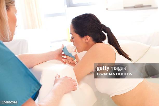 楽天市場Konges SloejdSMALL SHELL