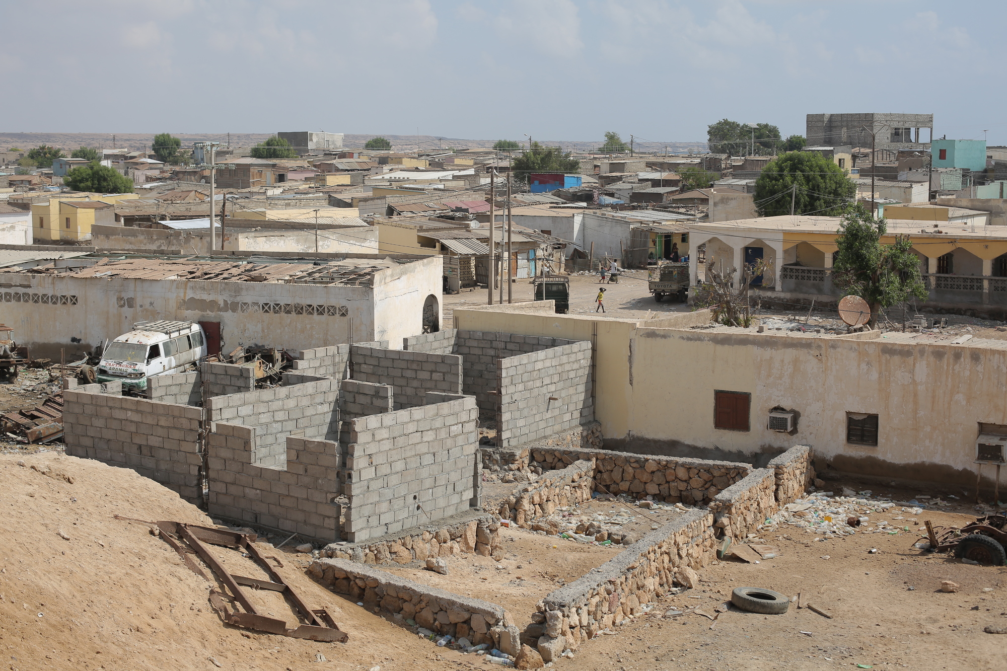 アフリカの角・ジブチでスイスが進める「科学外交」、その目的は - SWI swissinfo.ch