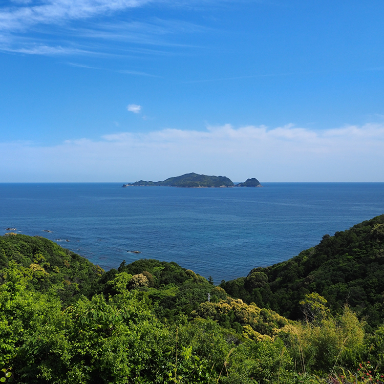 美波町 南阿波サンライン第一展望台 - しこくまっぷ