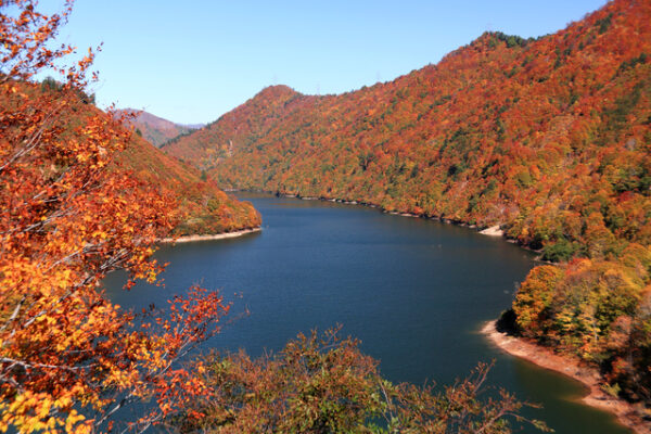 只見線 秋の風景 –