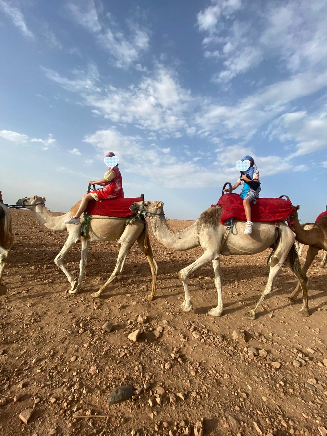 カサブランカ発10日間モロッコ家族ツア