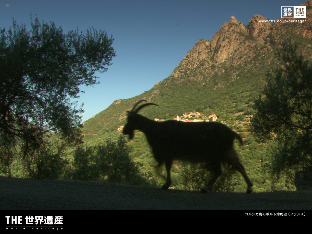 フランスの世界遺産「ポルト湾：ピアナのカランケ、ジロラータ湾、スカンドーラ自然保護区」とは？世界遺産マニアが解説世界遺産マニア