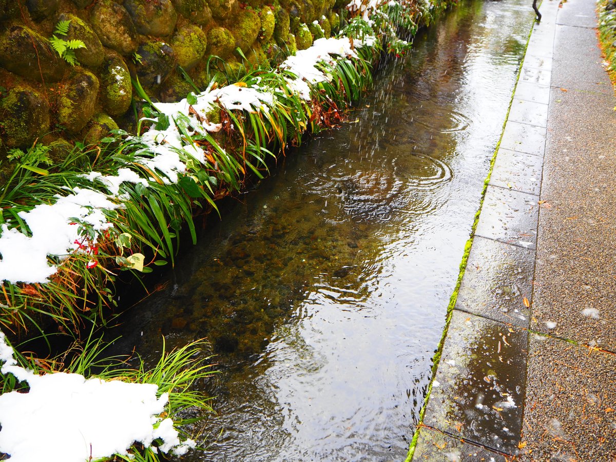 冬の郡上八幡 -いがわ小径を堪能する-すすむ