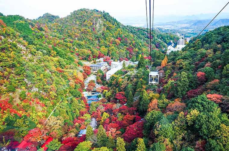 兵庫 絶景！紅葉スポット27選 名所から穴場まで見頃やイベント情報も徹底紹介秋の観光におすすめみたい-まるはり×みたい-みつけて播磨 姫路、加古川など 情報サイト