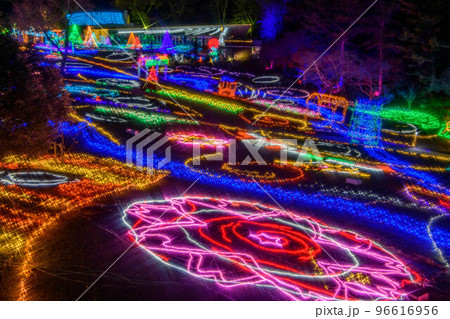 ぐるっと西遠＆つま恋イルミネーション』掛川 静岡県 の旅行記・ブログ