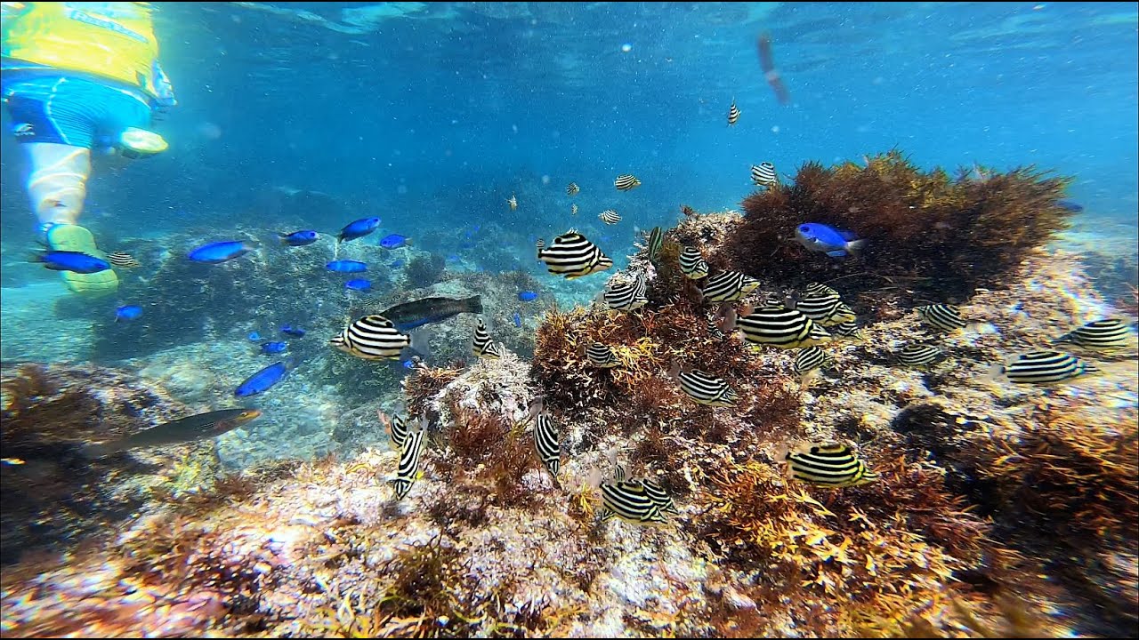 真鶴琴ヶ浜 🏝️ 天サロ日和