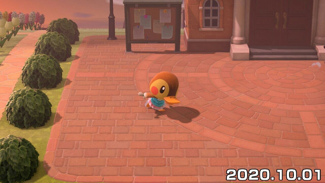 カモミをいじめる住民がいる。みんなのあつ森