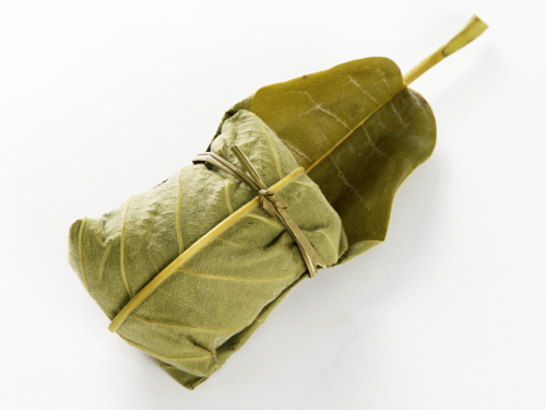 あげまつ彩時記:砂防の願い 木曽南部直轄砂防現地視察