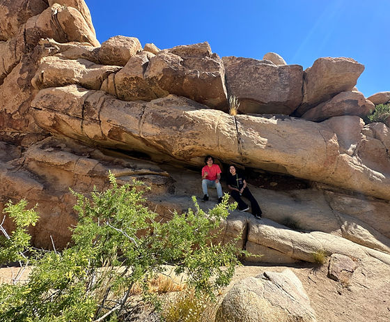 ジョシュアツリー国立公園Around-USA