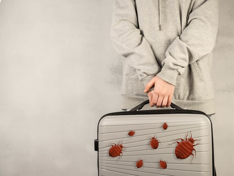 海外旅行から帰ってきたら悲劇の連続 😭 オーストラリア・メルボルン在住日本人家族