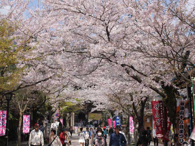 谷汲山華厳寺の観光ガイド岐阜県揖斐郡揖斐川町谷汲徳積23NAVITIME Travel