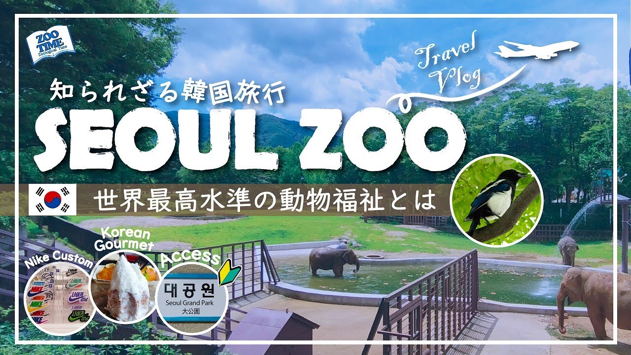 ソウル大公園観光－ソウルナビ