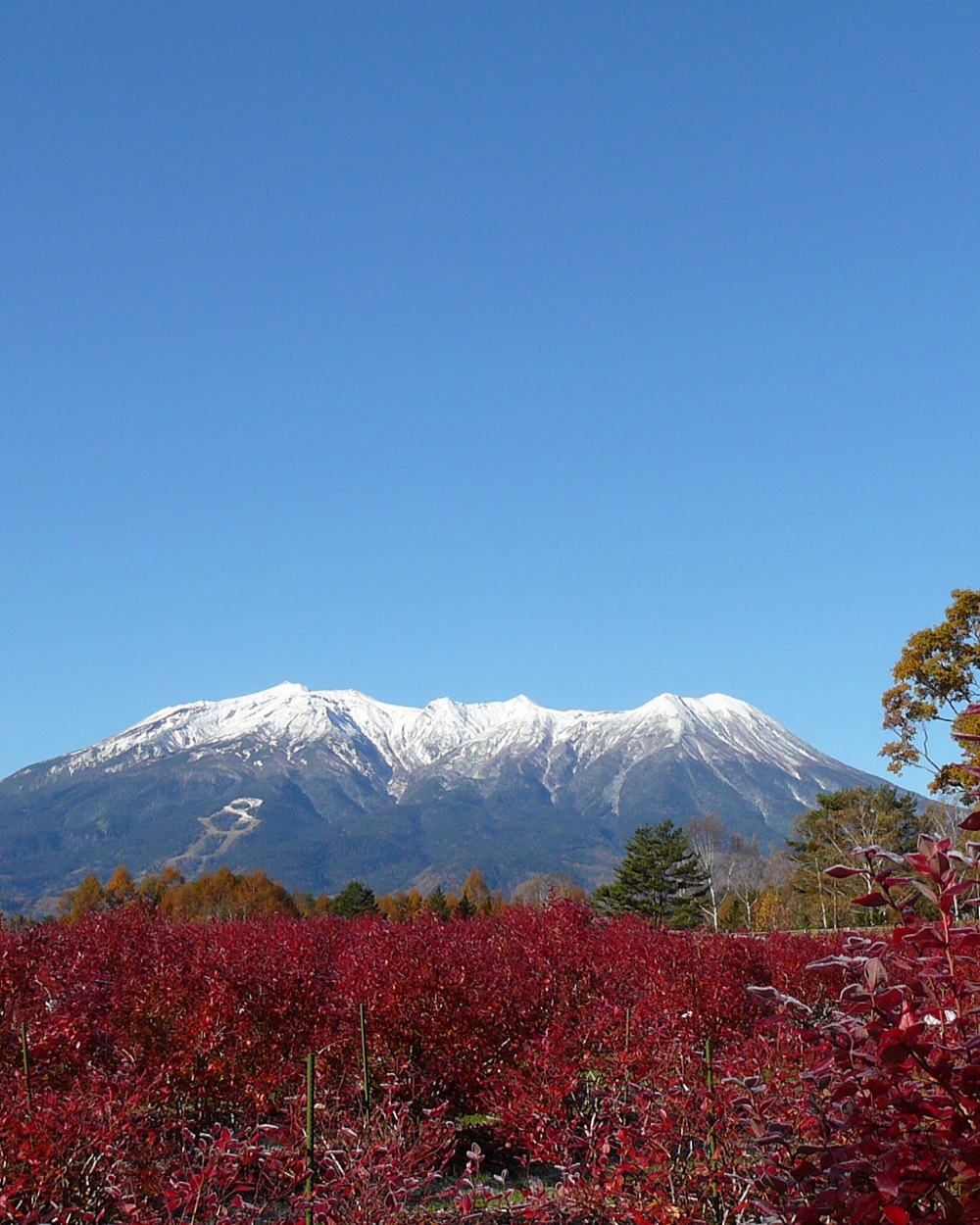 長野県南部・国道19号沿いの「道の駅」梵凡 ぼんぼん