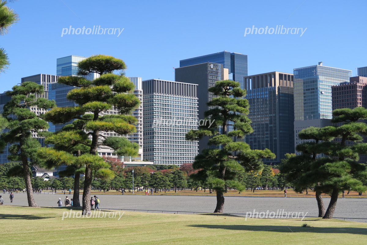 皇居前広場ー東京の公園