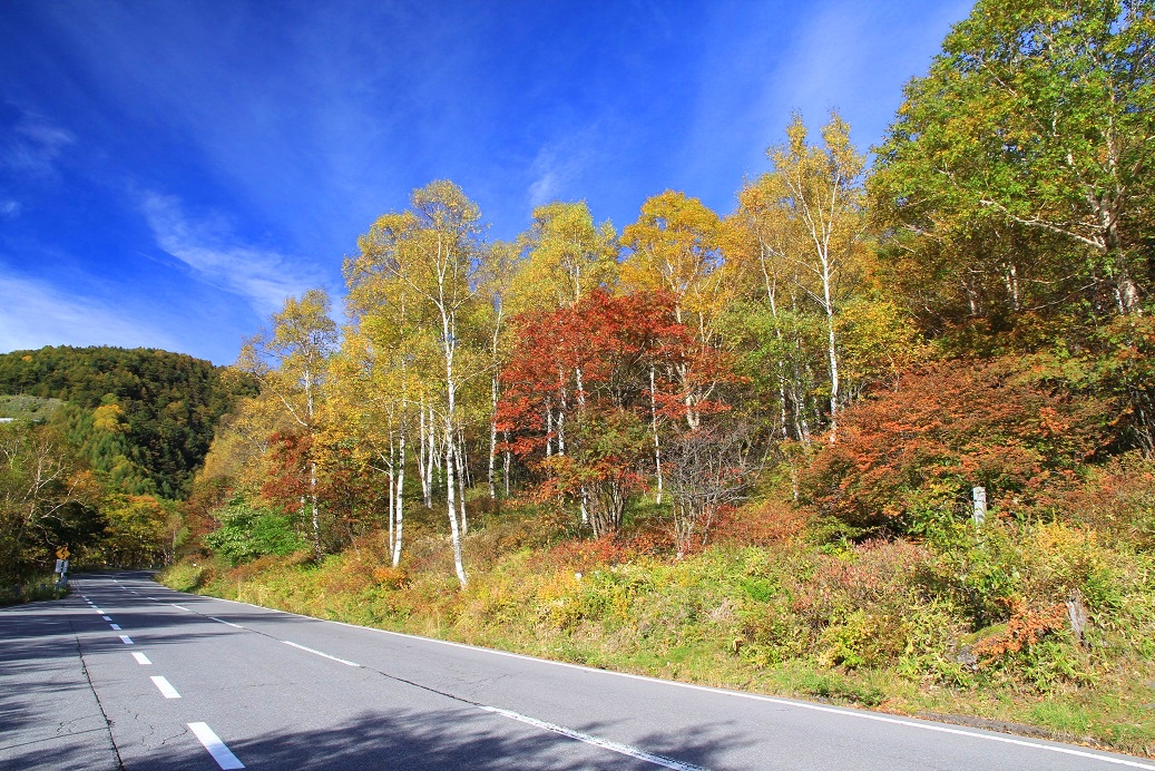 チェリーパークライン