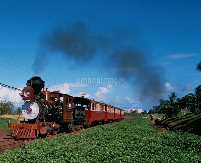 ハワイのオアフ島でサトウキビ列車に乗車！旅行記事emoエモ- 旅メディア