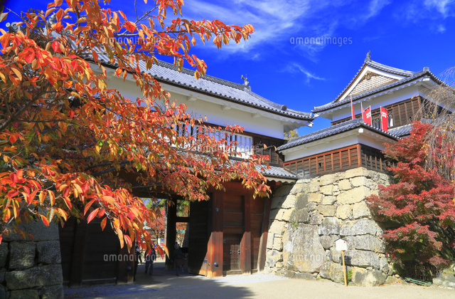 上田城の歴史と見どころ 美しい写真で巡る - お城めぐりFAN