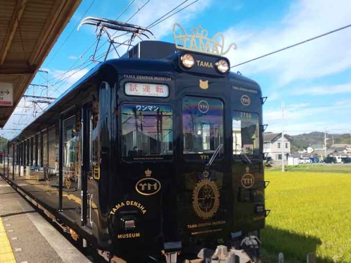 ローカル線の旅 和歌山電鐵貴志川線 歩鉄の達人