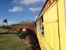 マウイ島とハワイ島で、廃線鉄道を探る ハワイ楽園鉄道3サライ.jp小学館の雑誌『サライ』公式サイト