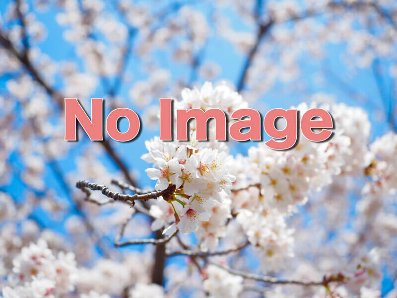 宇多津町 青の山頂展望台スポット・体験香川県観光協会公式サイト -