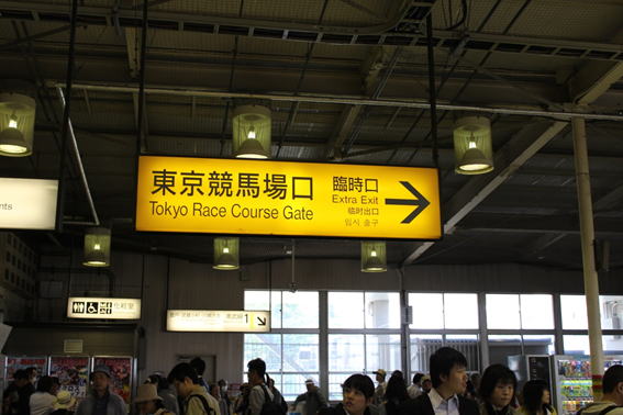 憧れのカラ競馬場』ダブリン アイルランド の旅行記・ブログ