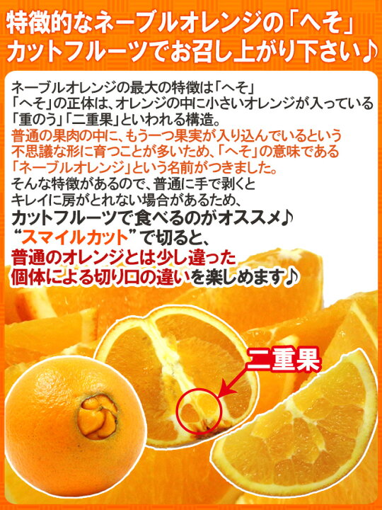 1 2エアーズロック オーストラリアで大地のヘソ発見!』エアーズロック