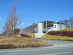 スウェーデンの世界的陶芸家、ラーソンの世界体感 猫の置物、バッグなど500点販売へ丹波神戸新聞NEXT