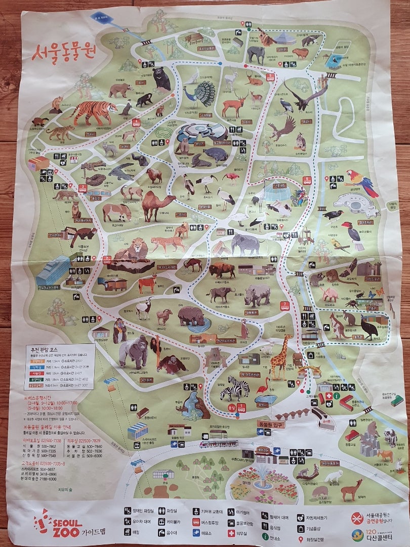 ソウル大公園とソウルランド：究極のガイド - IVisitKorea