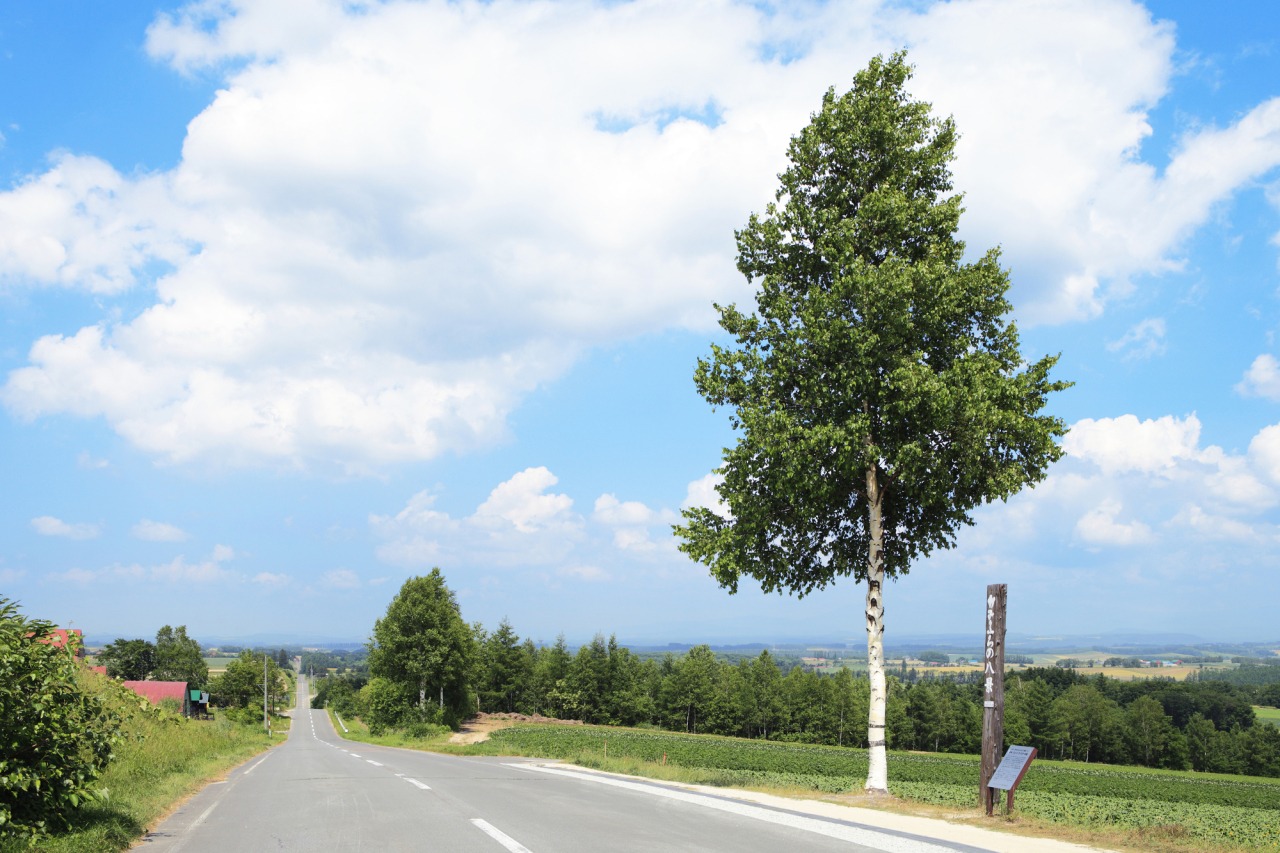 紅葉に囲まれるジェットコースターの路北海道 上富良野町の写真素材95732365- PIXTA