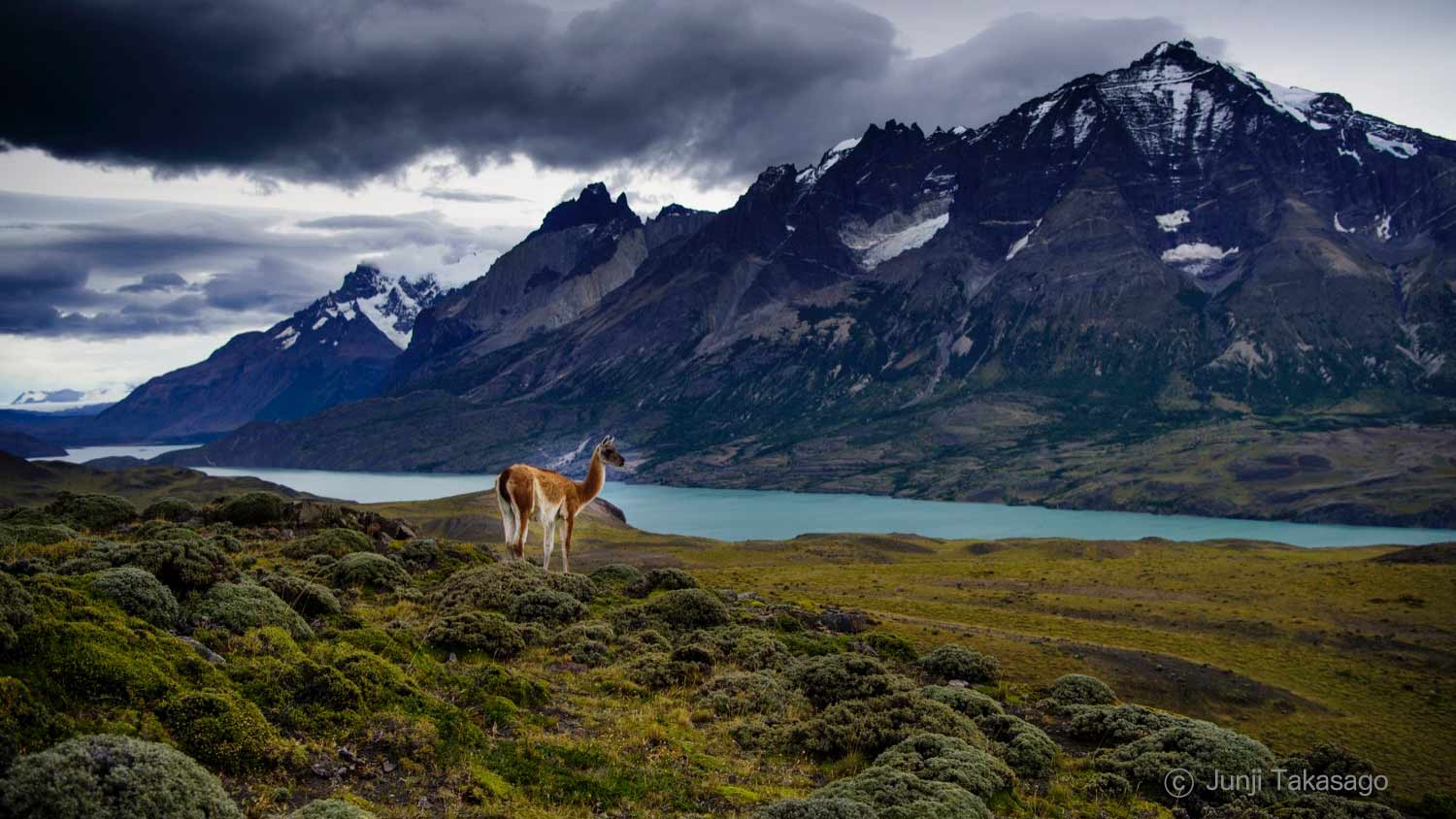 ペリト・モレノ氷河 行き方・料金・昼食などツアーバスロス・グラシアレス国立公園エルカラファテアルゼンチンパタゴニアGozamaru Daily