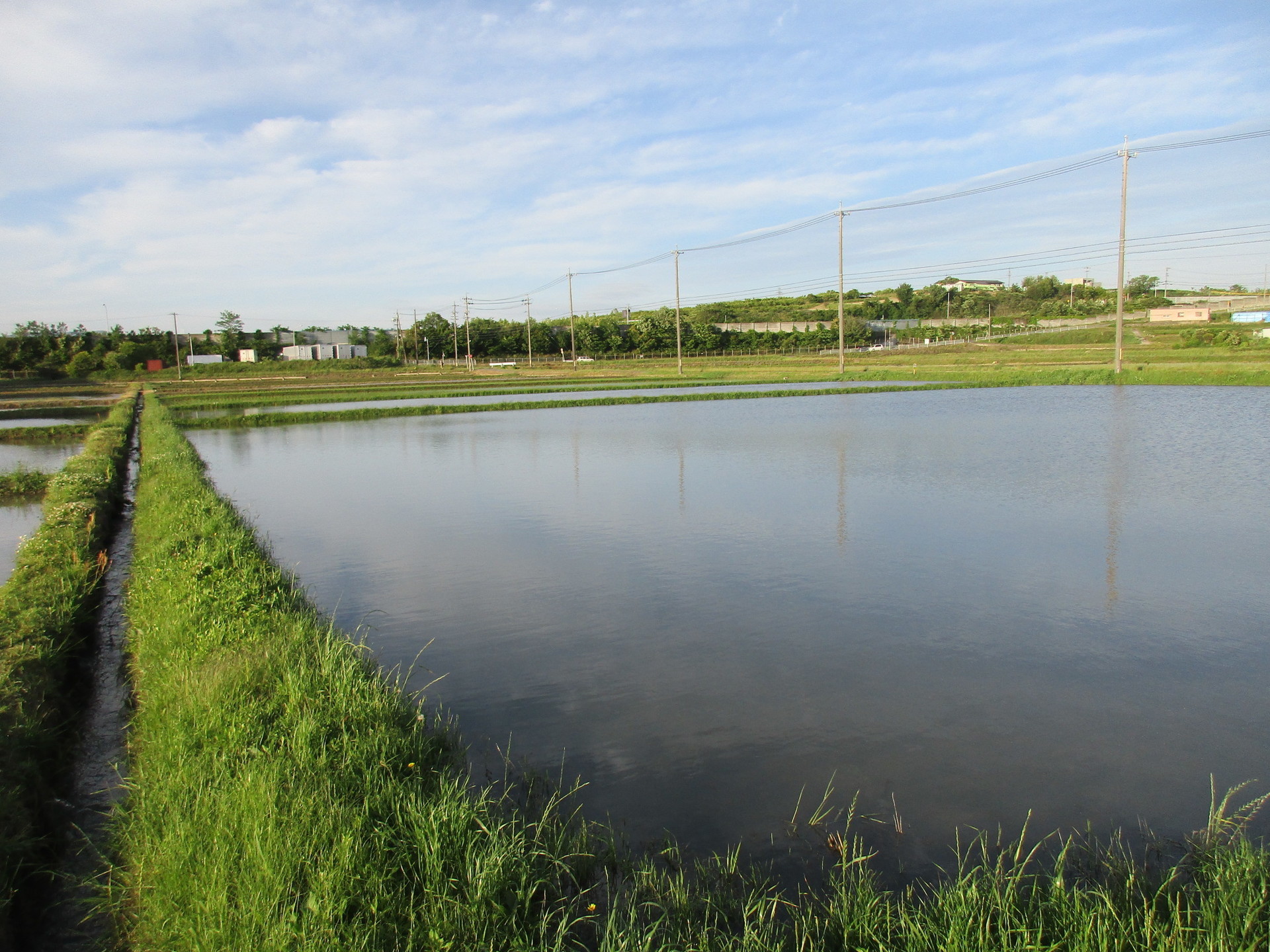 台風で田んぼを見に行く」人の行動はなぜ？不注意が原因とは限らないfrom AERAdot.ダイヤモンド・オンライン
