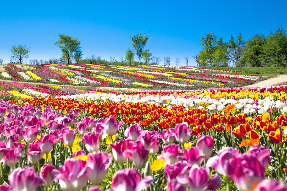 栃木県那須町はオシャレスポットの宝庫！インスタ映えにカメラ片手に観光しよ♡aumo アウモ