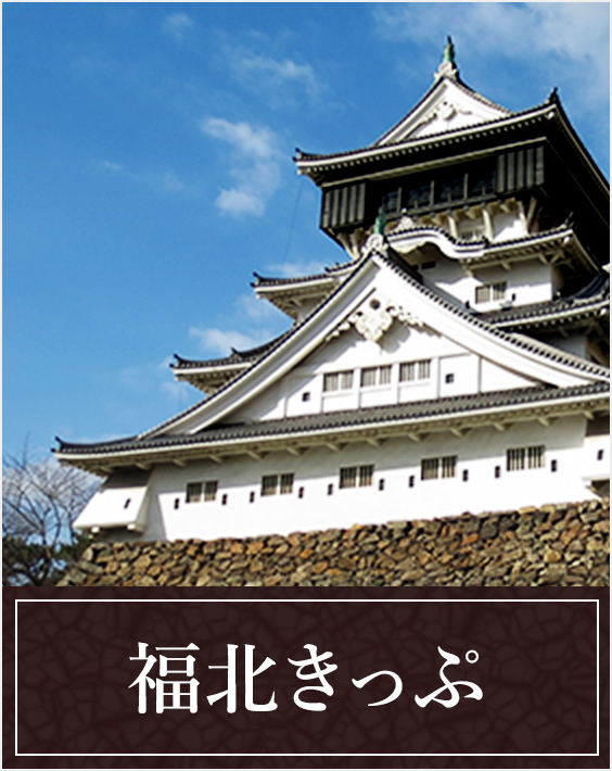 柳川・太宰府 九州唯一の大手私鉄『西鉄』で行く1日福岡旅行プラン 3泊4日九州巡り旅行記 4日目 福岡編-