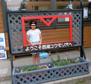 西湖コウモリ穴 - 貴重なコウモリが眠る富士山の溶岩洞穴河口湖.net