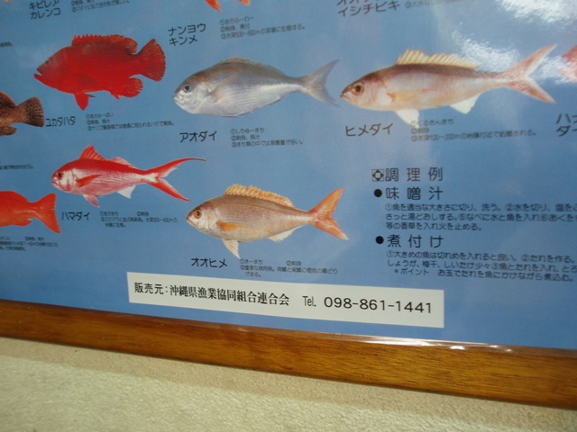 ジギングでカンパチや沖縄の高級魚マーマチ オオヒメ などの釣果沖縄の船釣りはクレーンズ鶴丸：創業20年の釣り船