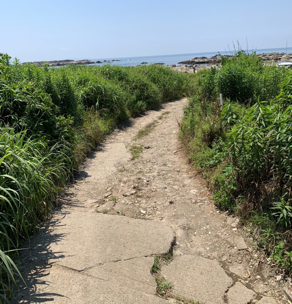 大好きな場所へ〜秋の三浦半島で子供と野営 – Extreme Freak