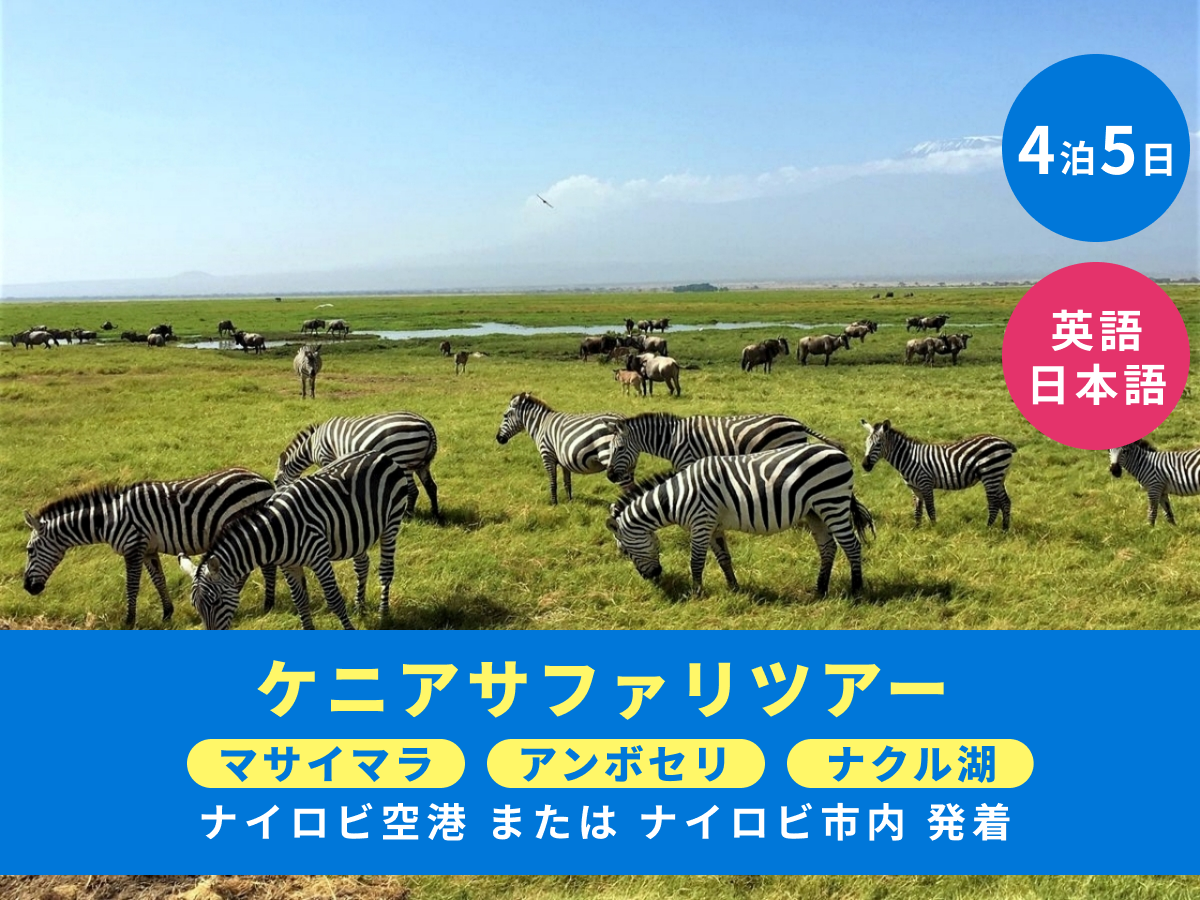 最新 2025年情報 ケニア国立公園サファリツアー海外旅行のSTW