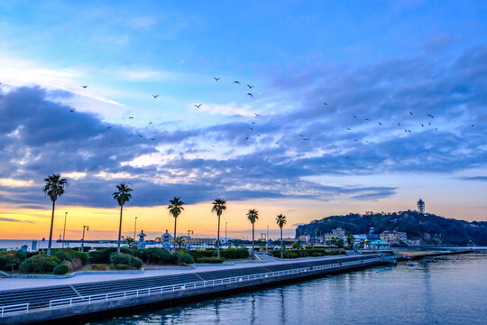 江の島海岸の写真素材写真素材なら「写真AC」無料 フリー ダウンロードOK