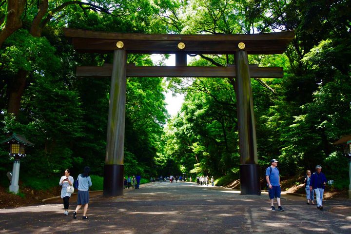 都内から日帰りも♪ 関東の避暑スポット12選～涼しい水辺から歴史ある避暑地まで～ことりっぷ