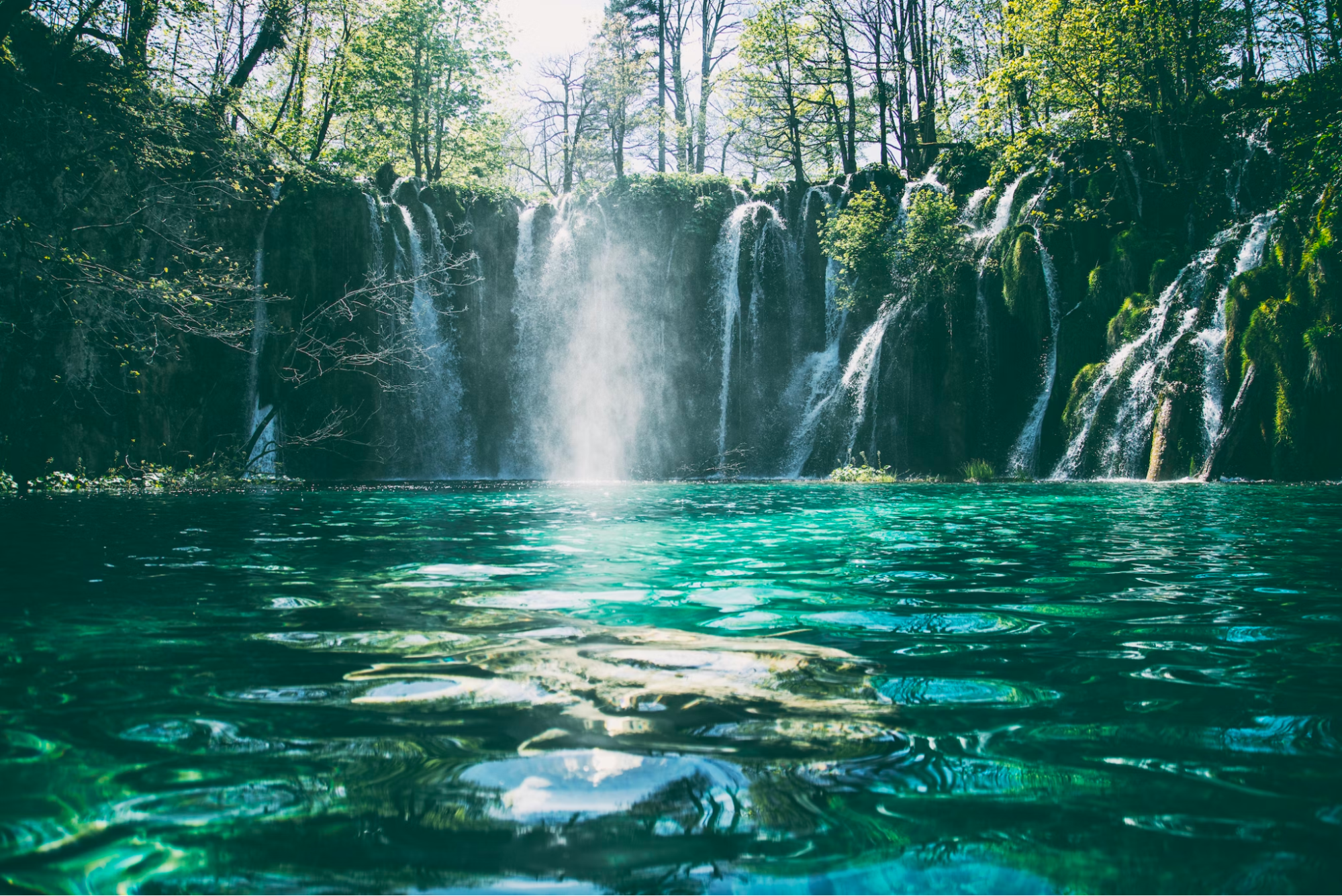 プリトヴィッツェ湖群国立公園のチケットのオンライン予約方法事前購入がおすすめ