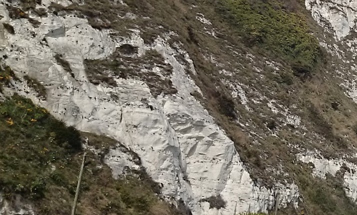 海外書籍 英仏間の重要な経路である海峡の知られざる歴史 - 書籍ダイジェストサービスSERENDIP