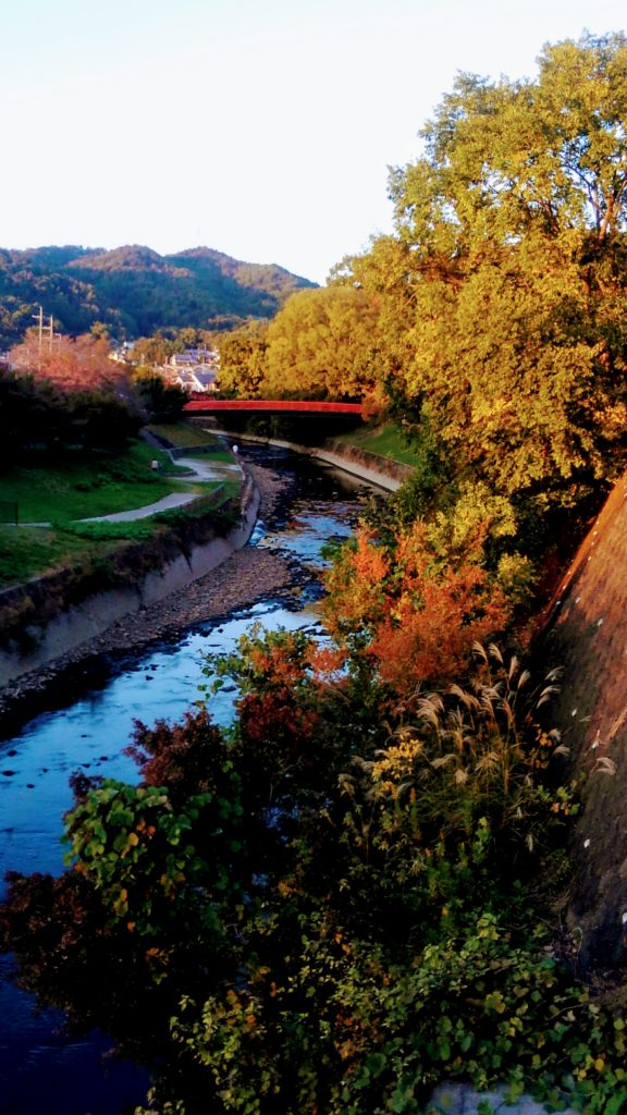2025年 竜田川 沿い遊歩道