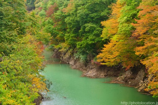 仙台 風景 撮影スポットTikTok