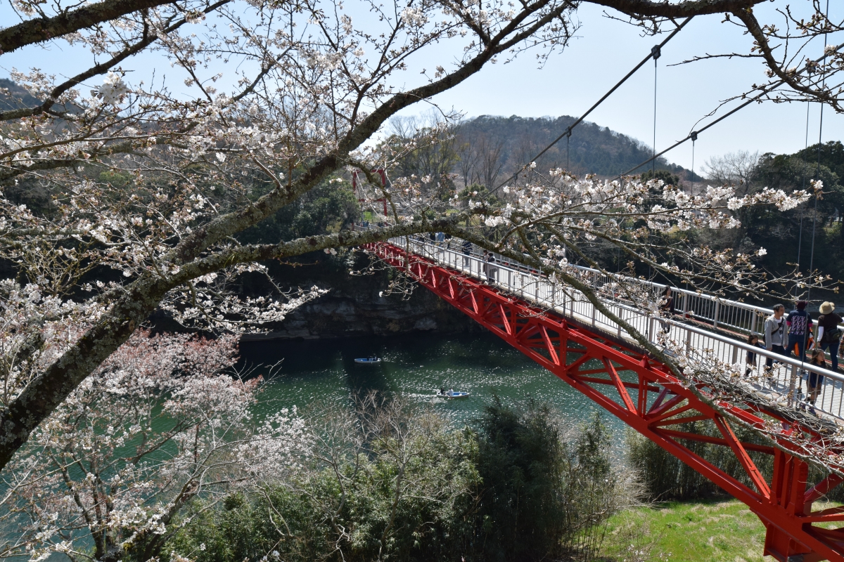 お花見〜桜淵公園〜ペン太さんのウォーキングの活動データYAMAPヤマップ