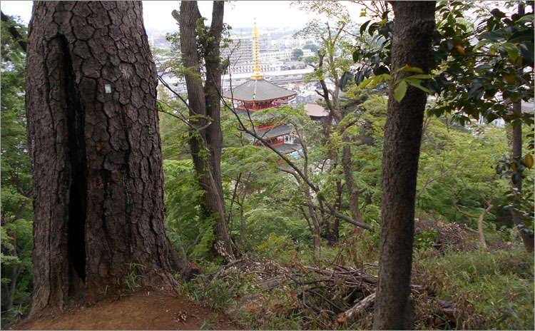 高幡城跡 東京都日野市：高幡不動尊 探訪記武蔵と相模の史蹟探訪記