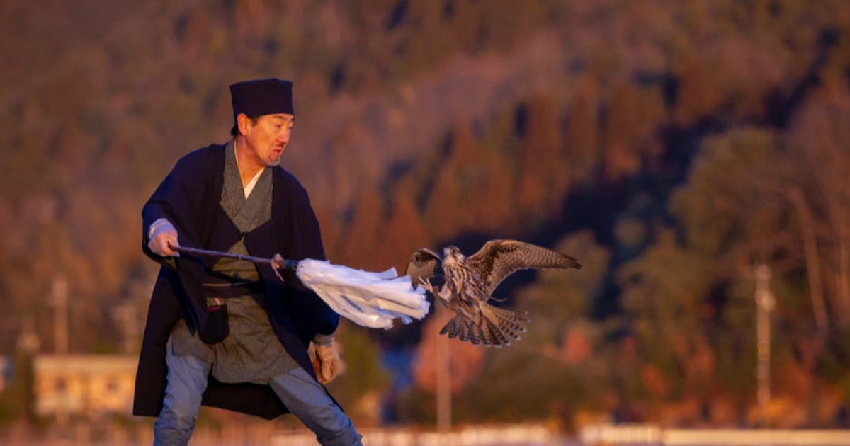 伝統の「上げ鷹」存続へ力を 岐阜の鷹匠・伏屋さんらＣＦ：中日新聞Web