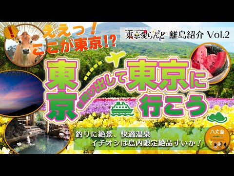 八丈島に移住して１年 離島に１年間住んでみて思ったこと麻雀プロの八丈島物語